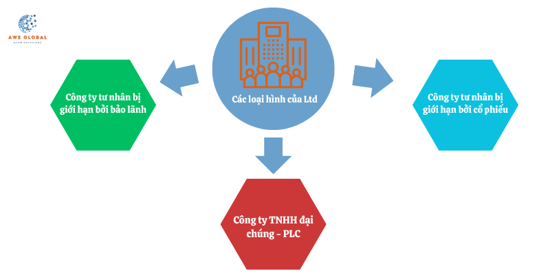 llc và ltd