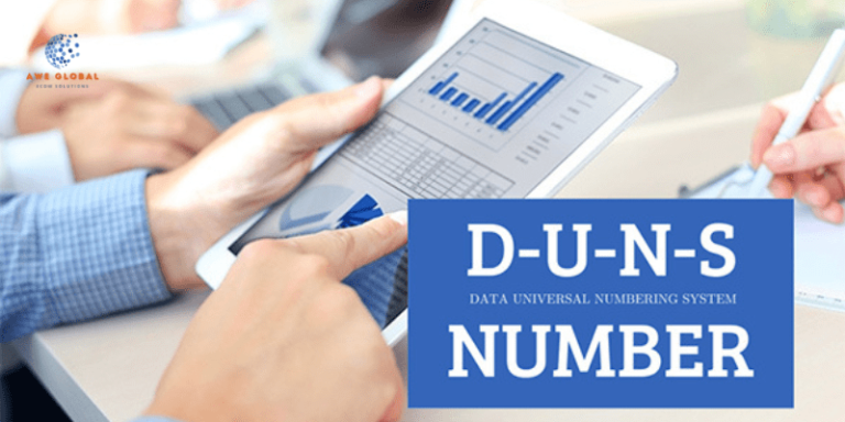 DUNS number lookup